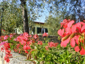 Agriturismo Green House
